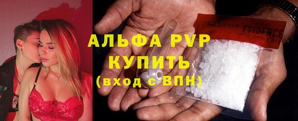 ECSTASY Болотное