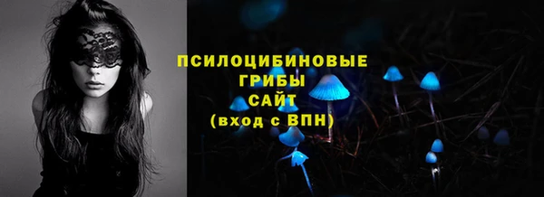 гидра Нефтегорск