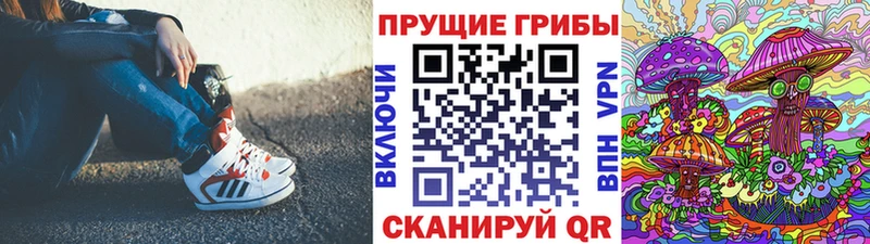 Псилоцибиновые грибы GOLDEN TEACHER  сколько стоит  даркнет какой сайт  Каневская 